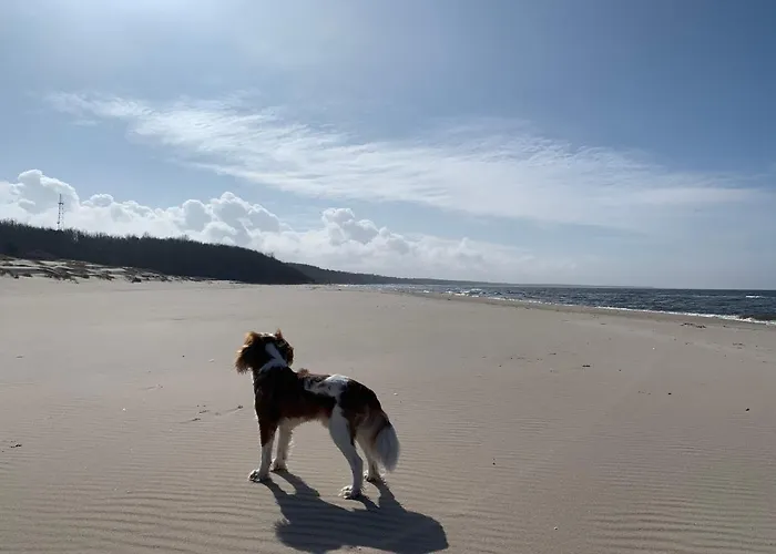 Appartement Michelle Polanki Park Kołobrzeg